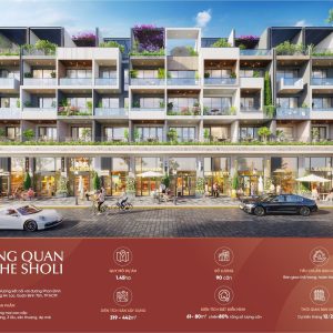 Tổng quan The Sholi