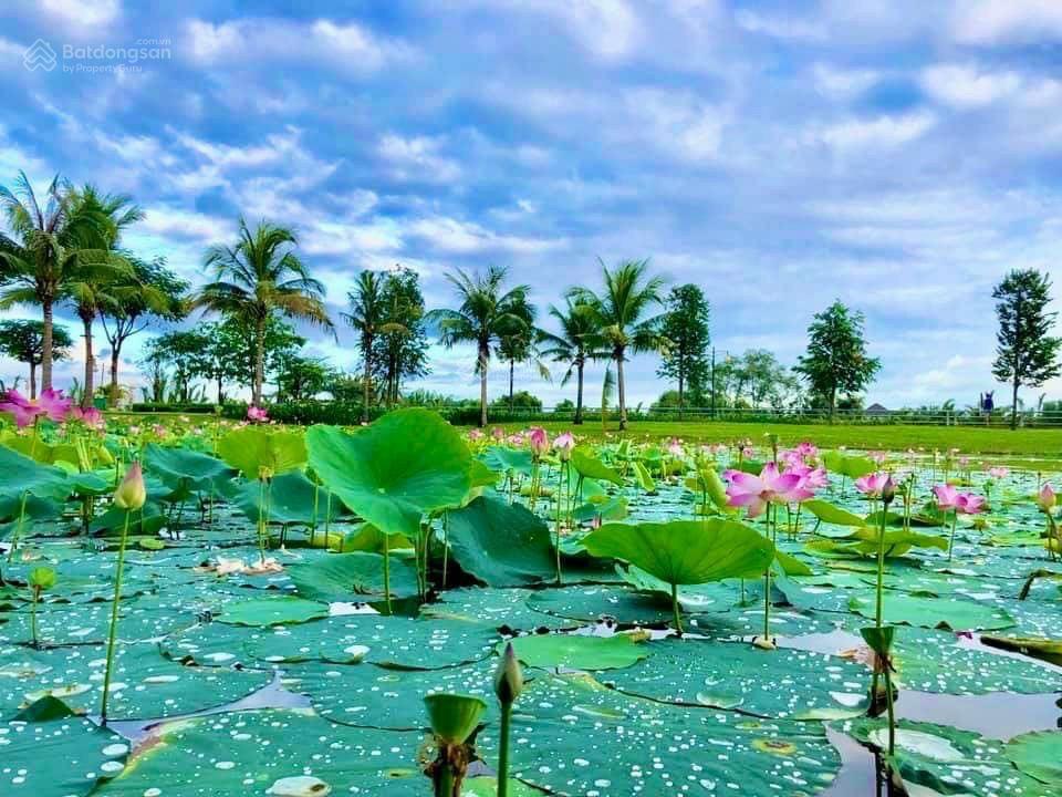 Bán nhiều căn nhà phố biệt thự gần The Foresta Có nội thất và chưa nội thất, SHR - Ảnh 3