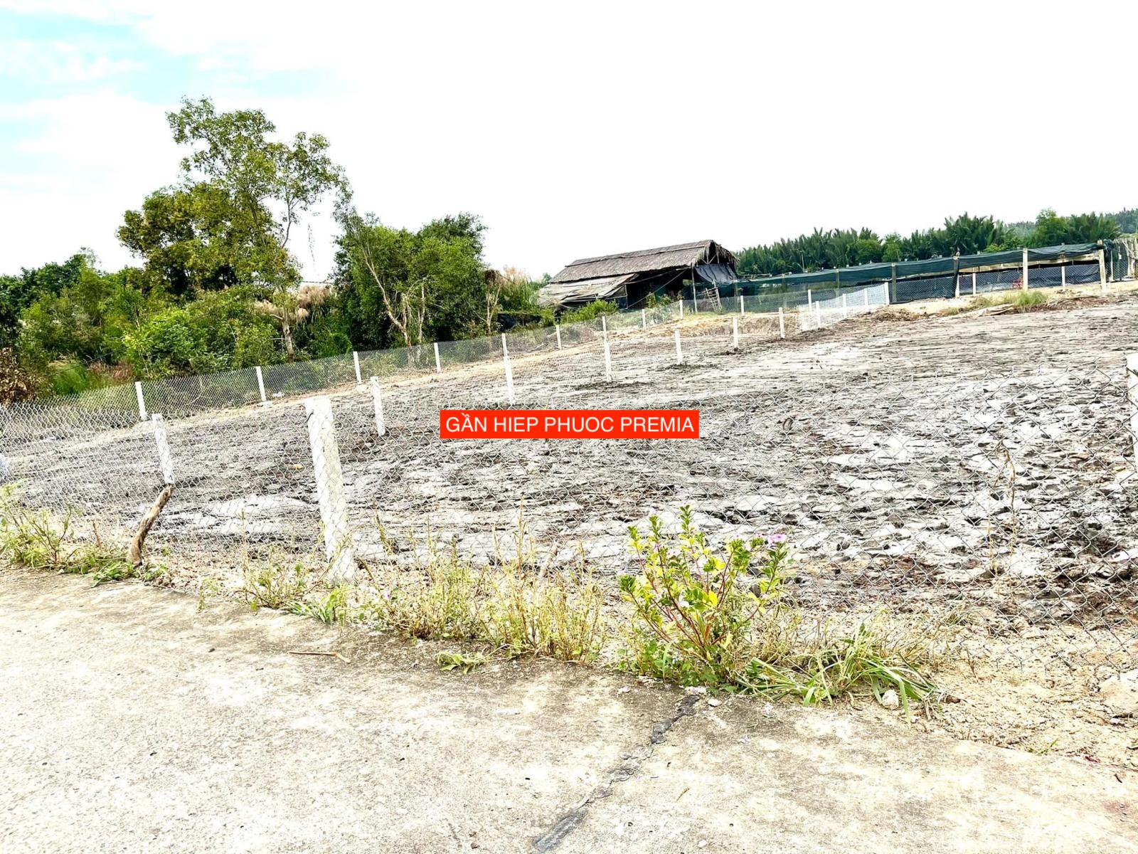 Cần bán 500m2 đất cây lâu năm mặt tiền đường Rạch Già, gần Hiệp Phước Premia, Nhà Bè giá 2tỷ350