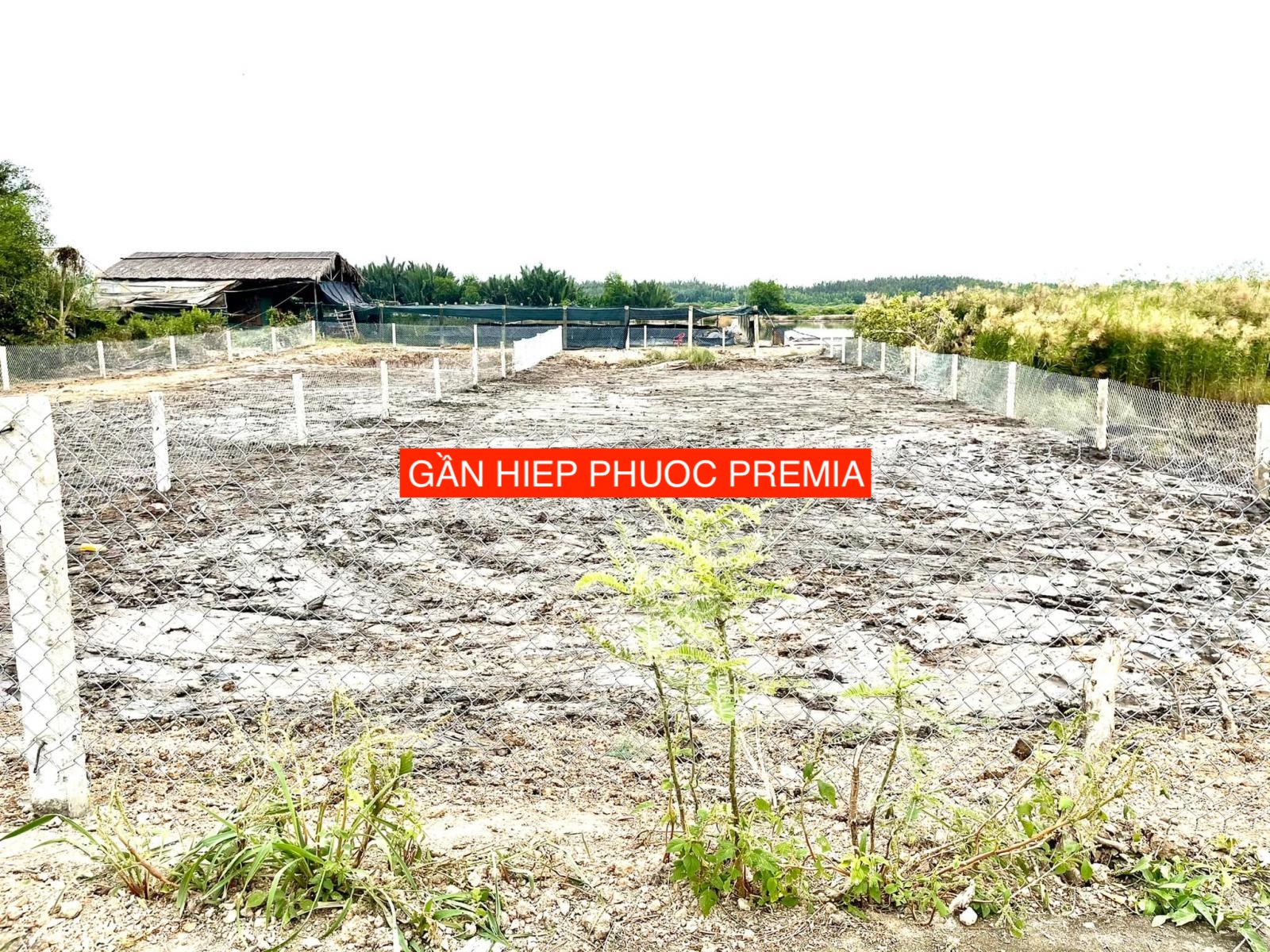 Cần bán 500m2 đất cây lâu năm mặt tiền đường Rạch Già, gần Hiệp Phước Premia, Nhà Bè giá 2tỷ350 - Ảnh 2