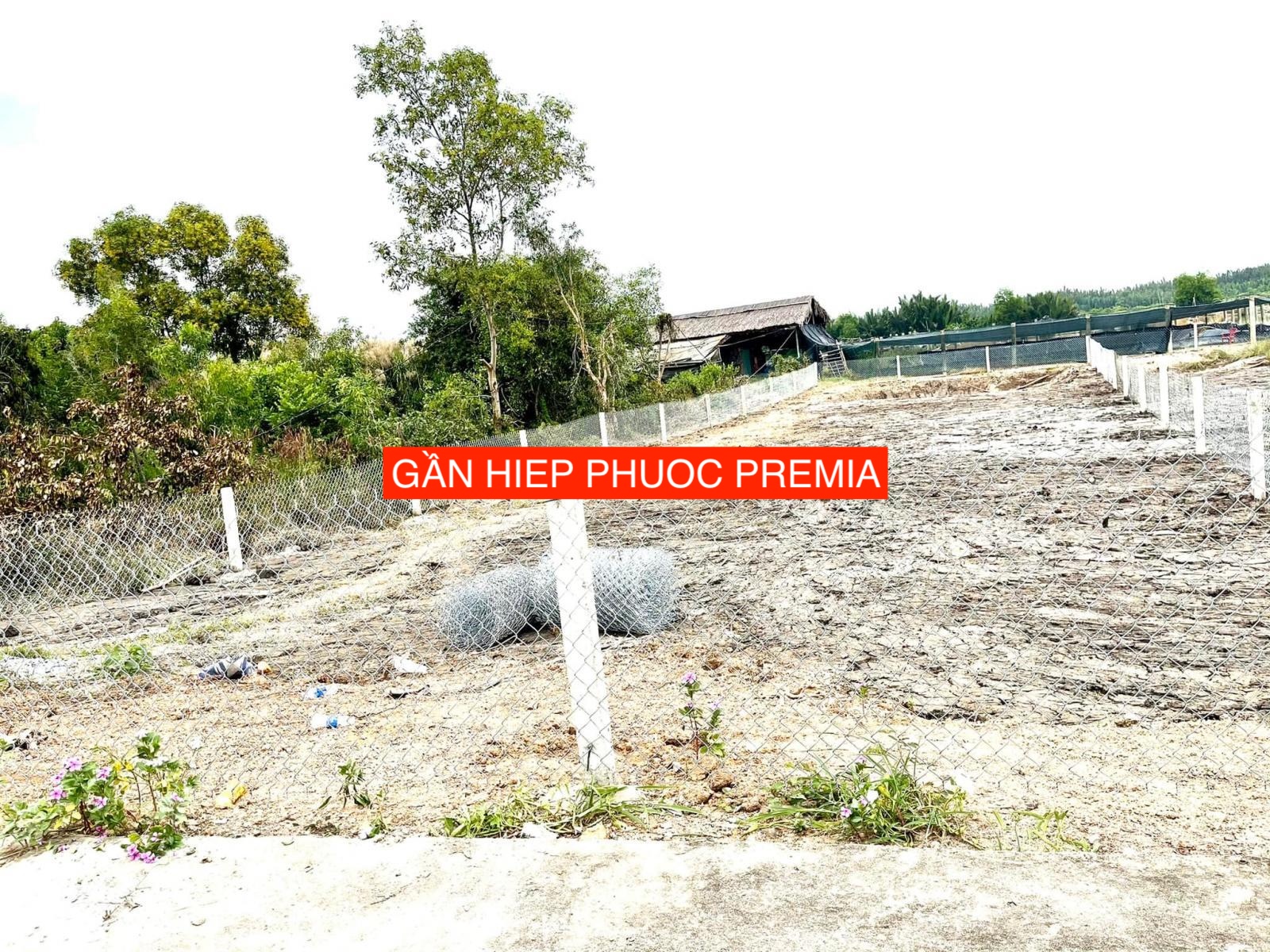 Cần bán 500m2 đất cây lâu năm mặt tiền đường Rạch Già, gần Hiệp Phước Premia, Nhà Bè giá 2tỷ350 - Ảnh 3